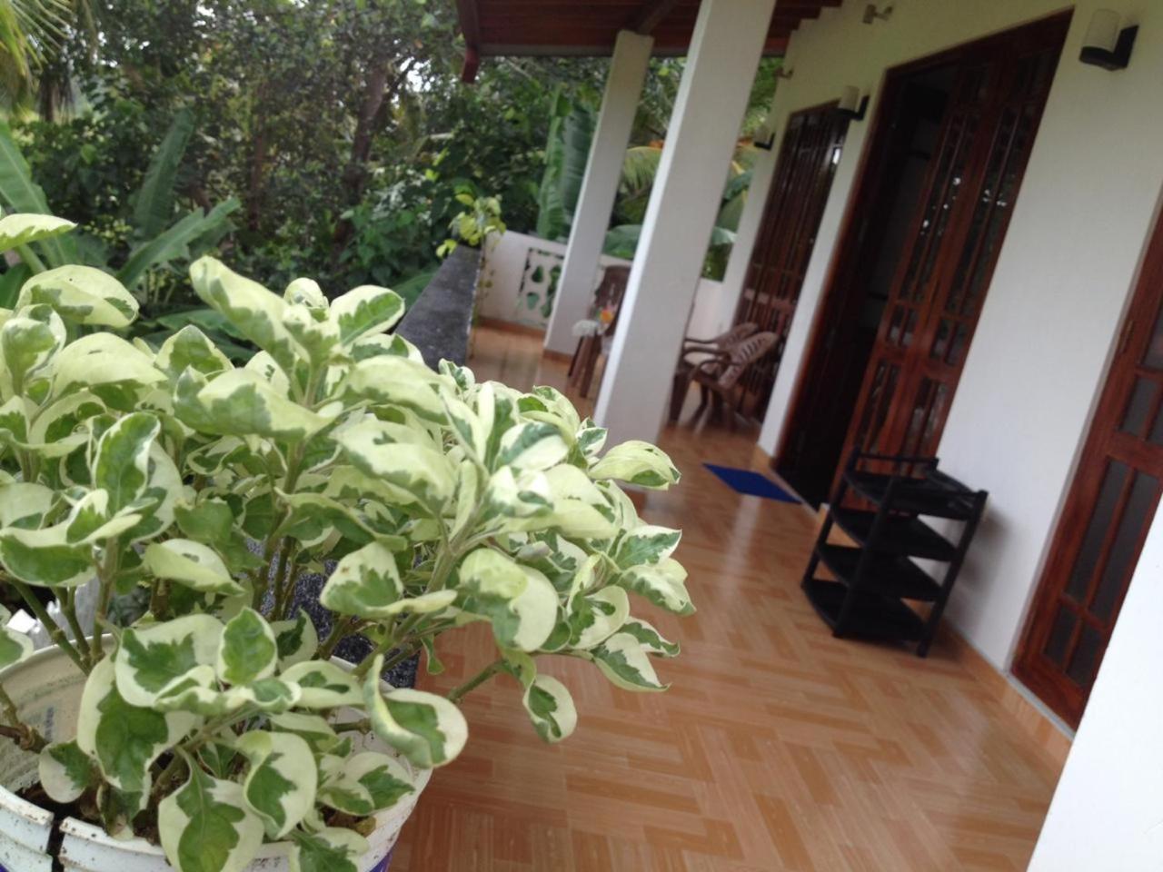Thilak House Villa Hikkaduwa Exteriör bild